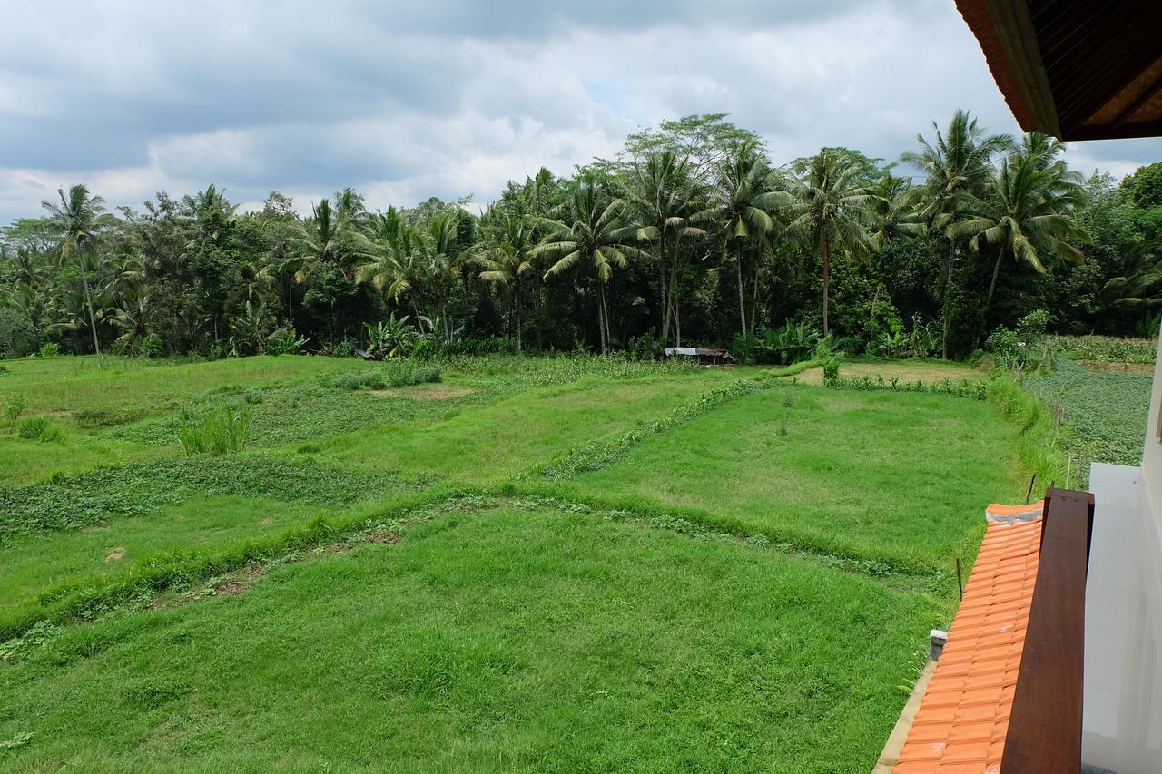The Rana Villa Tegallalang  Exterior photo